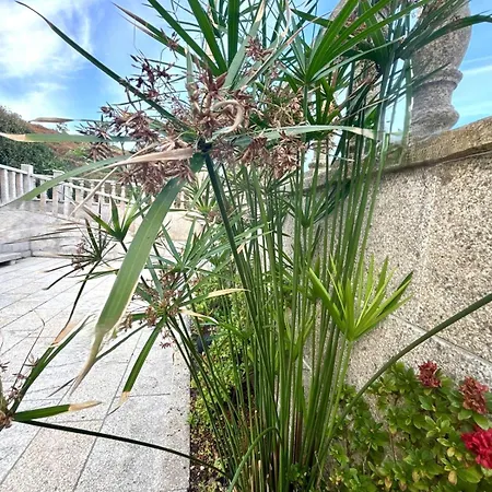 Holibai, Natercia, Horizontes De Galicia, Casa De Piedra Y Mar, Villa Baiona