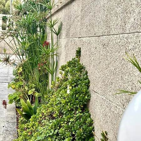 Holibai, Natercia, Horizontes De Galicia, Casa De Piedra Y Mar, * Baiona