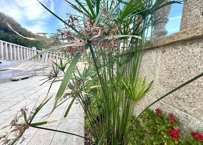 Holibai, Natercia, Horizontes De Galicia, Casa De Piedra Y Mar, Βίλα Baiona