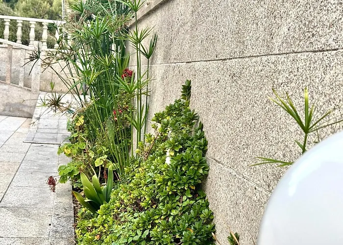 Holibai, Natercia, Horizontes De Galicia, Casa De Piedra Y Mar, * Baiona